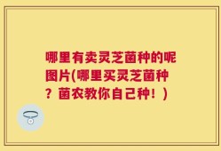 哪里有卖灵芝菌种的呢图片(哪里买灵芝菌种？菌农教你自己种！)