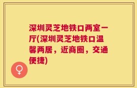 深圳灵芝地铁口两室一厅(深圳灵芝地铁口温馨两居，近商圈，交通便捷)