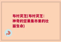 布村灵芝(布村灵芝：神奇的坚果集市里的壮丽生命)