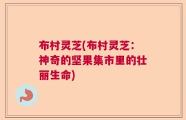 布村灵芝(布村灵芝：神奇的坚果集市里的壮丽生命)