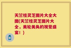 天竺桂灵芝图片大全大图(天竺桂灵芝图片大全，美轮美奂的视觉盛宴！)