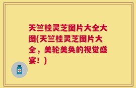 天竺桂灵芝图片大全大图(天竺桂灵芝图片大全，美轮美奂的视觉盛宴！)