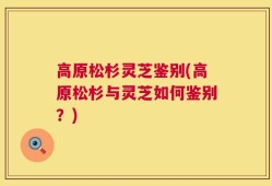 高原松杉灵芝鉴别(高原松杉与灵芝如何鉴别？)