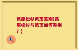高原松杉灵芝鉴别(高原松杉与灵芝如何鉴别？)