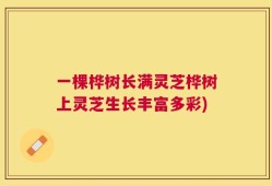 一棵桦树长满灵芝桦树上灵芝生长丰富多彩)