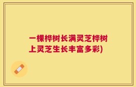 一棵桦树长满灵芝桦树上灵芝生长丰富多彩)