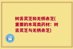 树舌灵芝和无柄赤芝(重要的木耳类药材：树舌灵芝与无柄赤芝)
