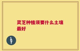 灵芝种植须要什么土壤最好