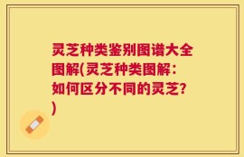 灵芝种类鉴别图谱大全图解(灵芝种类图解：如何区分不同的灵芝？)