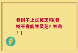 老树干上长灵芝吗(老树干竟能生灵芝？神奇！)