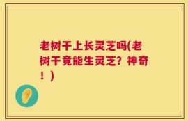 老树干上长灵芝吗(老树干竟能生灵芝？神奇！)
