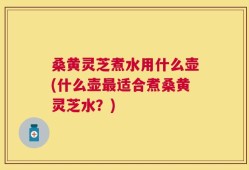 桑黄灵芝煮水用什么壶(什么壶最适合煮桑黄灵芝水？)