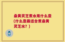 桑黄灵芝煮水用什么壶(什么壶最适合煮桑黄灵芝水？)