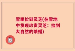 雪里捡到灵芝(在雪地中发现珍贵灵芝：捡到大自然的馈赠)