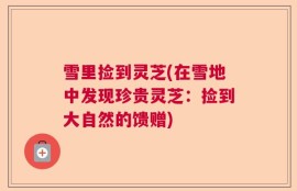 雪里捡到灵芝(在雪地中发现珍贵灵芝：捡到大自然的馈赠)
