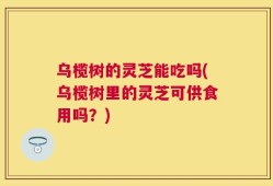 乌榄树的灵芝能吃吗(乌榄树里的灵芝可供食用吗？)