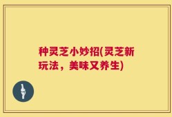 种灵芝小妙招(灵芝新玩法，美味又养生)