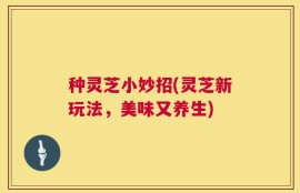 种灵芝小妙招(灵芝新玩法，美味又养生)