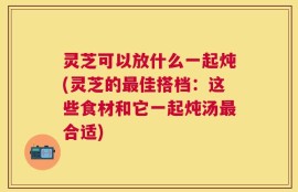 灵芝可以放什么一起炖(灵芝的最佳搭档：这些食材和它一起炖汤最合适)