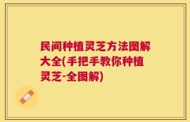 民间种植灵芝方法图解大全(手把手教你种植灵芝-全图解)