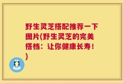 野生灵芝搭配推荐一下图片(野生灵芝的完美搭档：让你健康长寿！)