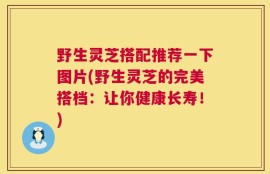 野生灵芝搭配推荐一下图片(野生灵芝的完美搭档：让你健康长寿！)