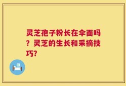 灵芝孢子粉长在伞面吗？灵芝的生长和采摘技巧？