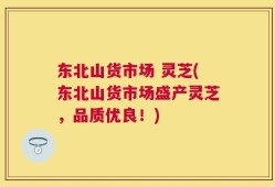 东北山货市场 灵芝(东北山货市场盛产灵芝，品质优良！)