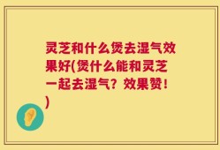 灵芝和什么煲去湿气效果好(煲什么能和灵芝一起去湿气？效果赞！)