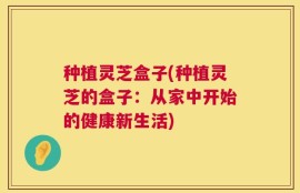 种植灵芝盒子(种植灵芝的盒子：从家中开始的健康新生活)