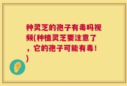 种灵芝的孢子有毒吗视频(种植灵芝要注意了，它的孢子可能有毒！)