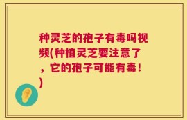 种灵芝的孢子有毒吗视频(种植灵芝要注意了，它的孢子可能有毒！)