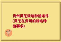 贵州灵芝栽培种植条件(灵芝在贵州的栽培种植要求)