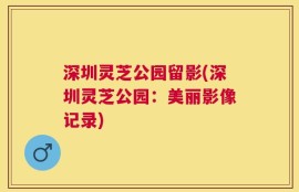 深圳灵芝公园留影(深圳灵芝公园：美丽影像记录)