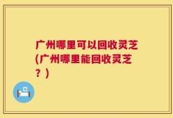 广州哪里可以回收灵芝(广州哪里能回收灵芝？)