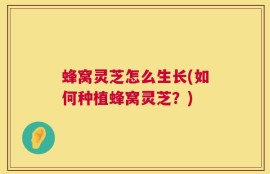 蜂窝灵芝怎么生长(如何种植蜂窝灵芝？)