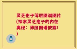 灵芝孢子薄层图谱图片(探索灵芝孢子的内在奥秘：薄层图谱披露！)