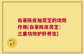 白茶陈皮加灵芝的功效作用(白茶陈皮灵芝：三重功效护肝养生)