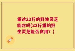 重达22斤的野生灵芝能吃吗(22斤重的野生灵芝能否食用？)