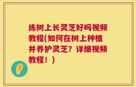 练树上长灵芝好吗视频教程(如何在树上种植并养护灵芝？详细视频教程！)