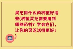 灵芝用什么药种植好活些(种植灵芝需要用到哪些药材？学会它们，让你的灵芝活得更好！)
