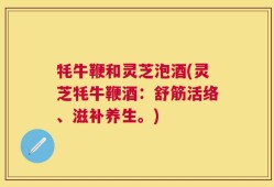 牦牛鞭和灵芝泡酒(灵芝牦牛鞭酒：舒筋活络、滋补养生。)