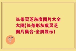 长条灵芝灰度图片大全大图(长条形灰度灵芝图片集合-全屏显示)