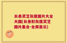 长条灵芝灰度图片大全大图(长条形灰度灵芝图片集合-全屏显示)
