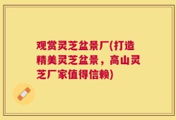 观赏灵芝盆景厂(打造精美灵芝盆景，高山灵芝厂家值得信赖)