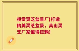 观赏灵芝盆景厂(打造精美灵芝盆景，高山灵芝厂家值得信赖)