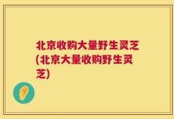 北京收购大量野生灵芝(北京大量收购野生灵芝)