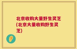 北京收购大量野生灵芝(北京大量收购野生灵芝)