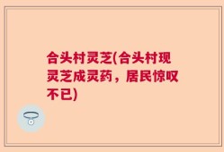 合头村灵芝(合头村现灵芝成灵药，居民惊叹不已)