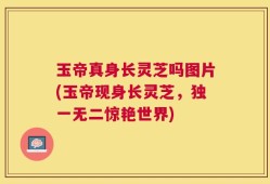 玉帝真身长灵芝吗图片(玉帝现身长灵芝，独一无二惊艳世界)